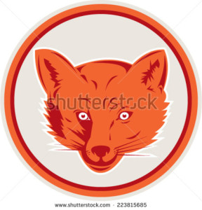 stock-vector-illustration-of-an-angry-fox-wild-dog-wolf-head-facing-front-set-inside-circle-on-isolated-white-223815685