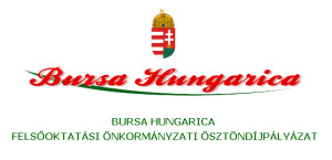 bursa