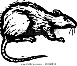 stock-vector-black-and-white-vector-illustration-of-a-rat-134345018