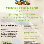 cukorbeteg plakat (1)